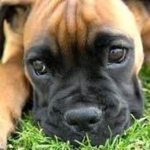 Meet your Posher, Cloe